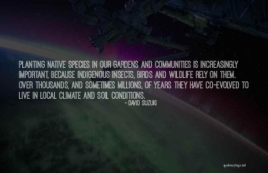 Barraband Parrot Quotes By David Suzuki Barraband Parrot Quotes By David Suzuki
