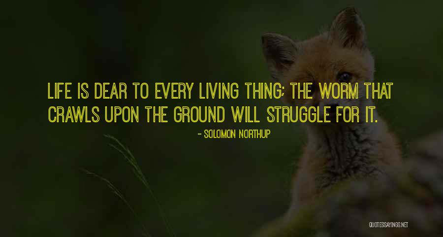 Barracking Falcon Quotes By Solomon Northup Barracking Falcon Quotes By Solomon Northup