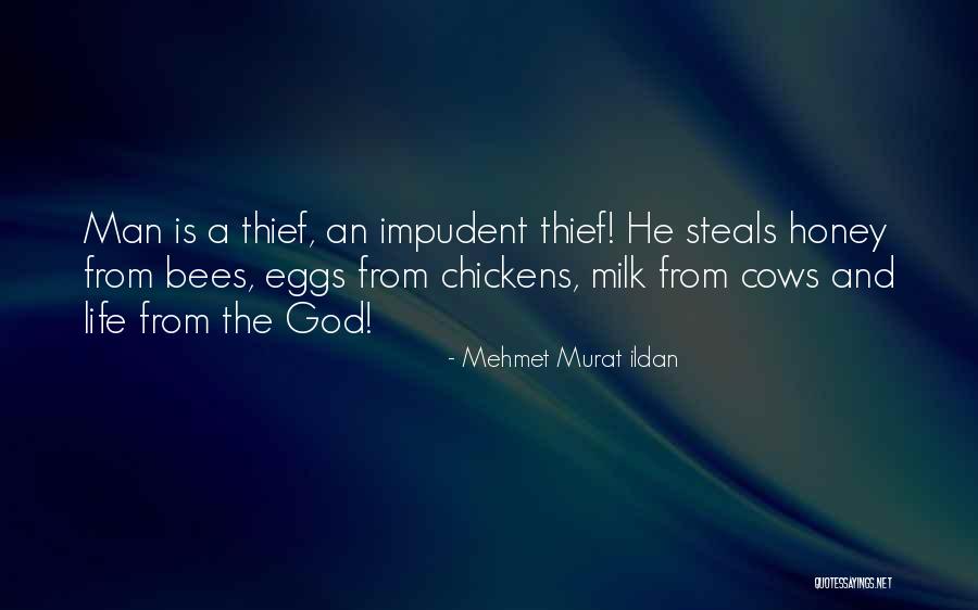 Barrales Coffee Quotes By Mehmet Murat Ildan Barrales Coffee Quotes By Mehmet Murat Ildan