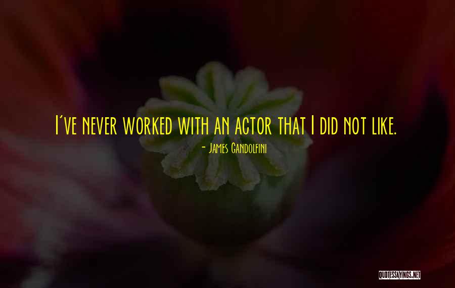 Barrango Manzanita Quotes By James Gandolfini Barrango Manzanita Quotes By James Gandolfini