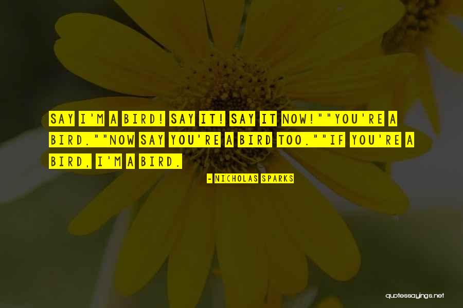 Barreira Hematoencef Lica Quotes By Nicholas Sparks Barreira Hematoencef Lica Quotes By Nicholas Sparks