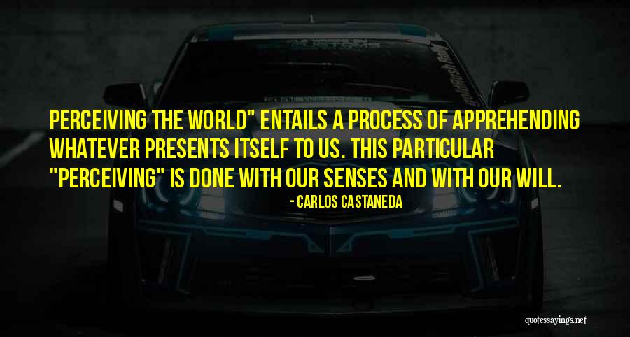 Barrelhouse Boise Quotes By Carlos Castaneda Barrelhouse Boise Quotes By Carlos Castaneda