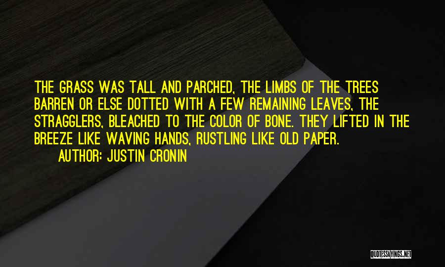 Barren Trees Quotes By Justin Cronin