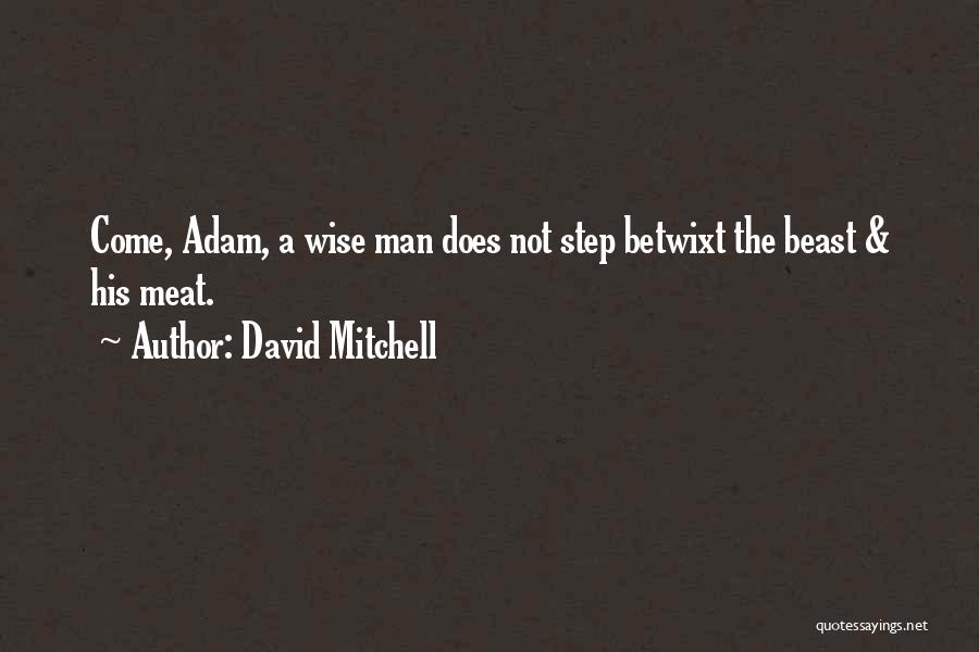 Barrena Doblada Quotes By David Mitchell