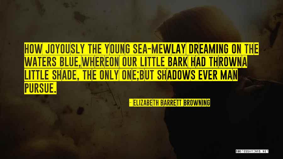 Barrett Quotes By Elizabeth Barrett Browning