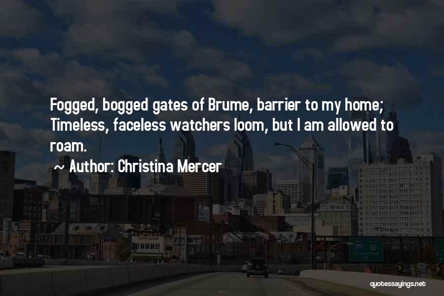 Barrier Quotes By Christina Mercer