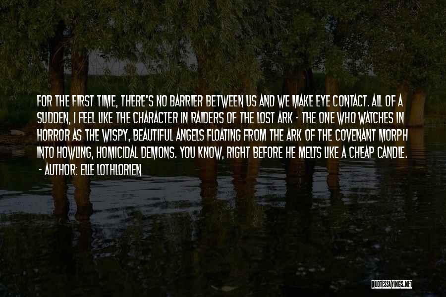 Barrier Quotes By Elle Lothlorien