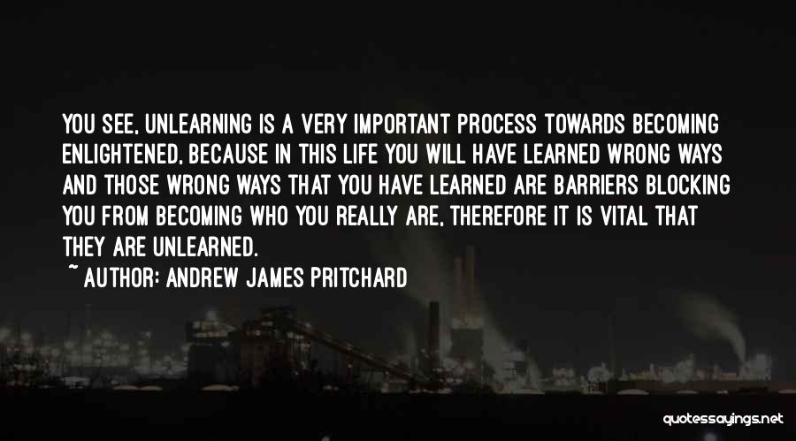 Barriers To Learning Quotes By Andrew James Pritchard