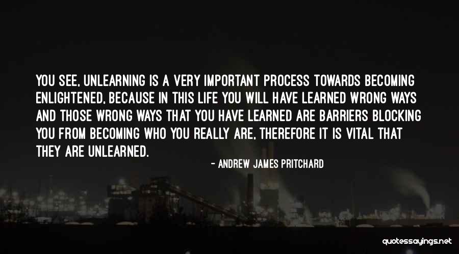 Barriers To Learning Quotes By Andrew James Pritchard