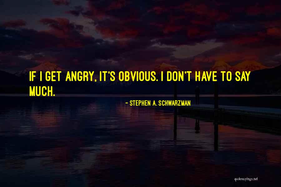Barriletes Exoticos Quotes By Stephen A. Schwarzman Barriletes Exoticos Quotes By Stephen A. Schwarzman