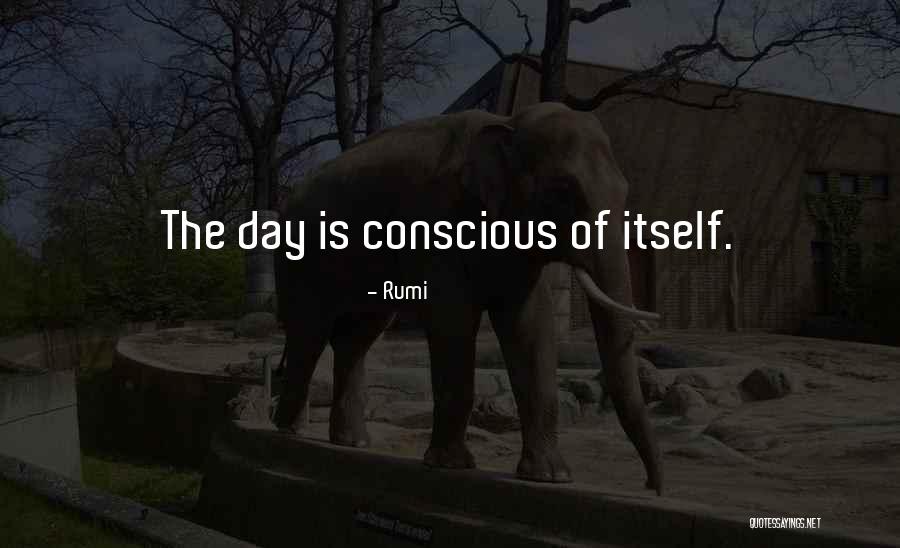 Barrilitos Quotes By Rumi Barrilitos Quotes By Rumi