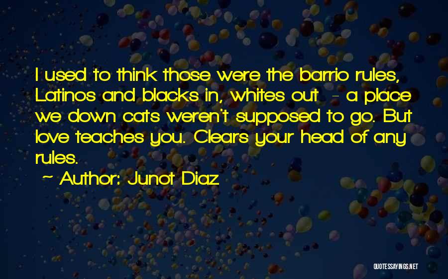 Barrio Quotes By Junot Diaz