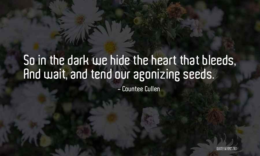 Barristers Of Ohio Quotes By Countee Cullen Barristers Of Ohio Quotes By Countee Cullen