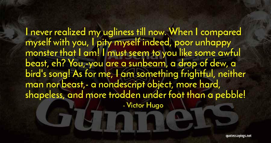 Barrueco Sor Quotes By Victor Hugo Barrueco Sor Quotes By Victor Hugo