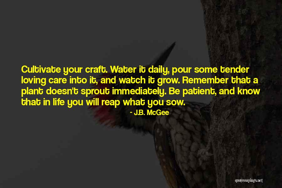 Barruelo Quotes By J.B. McGee Barruelo Quotes By J.B. McGee
