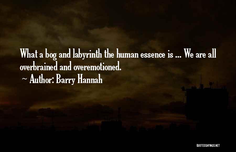 Barry Hannah Quotes 1649930