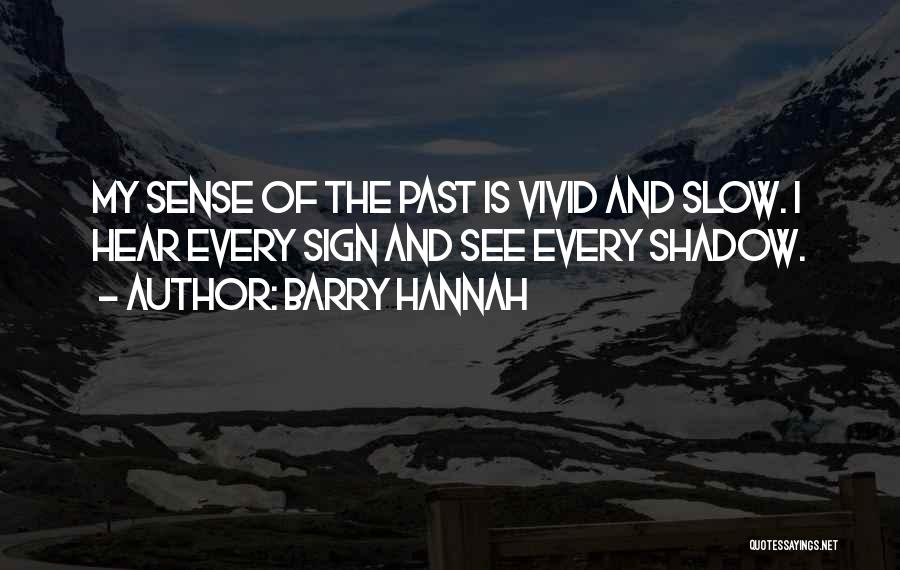 Barry Hannah Quotes 292588