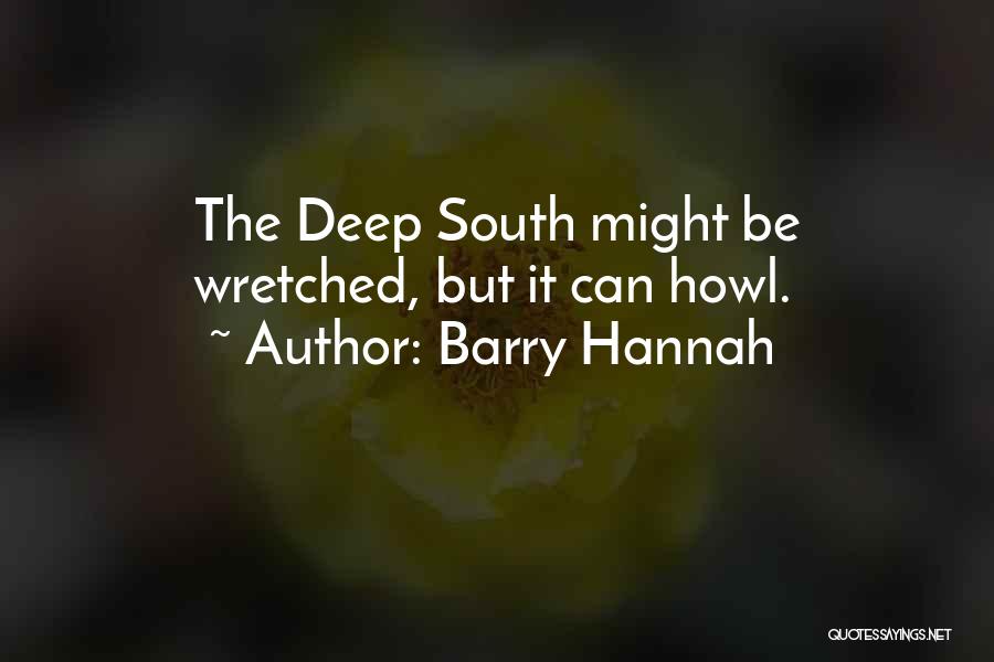 Barry Hannah Quotes 511514