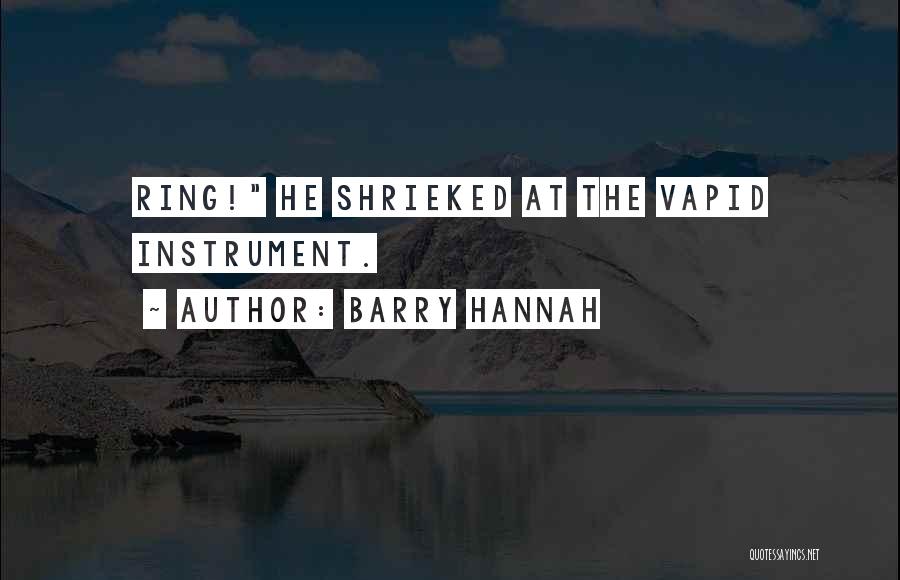 Barry Hannah Quotes 96466