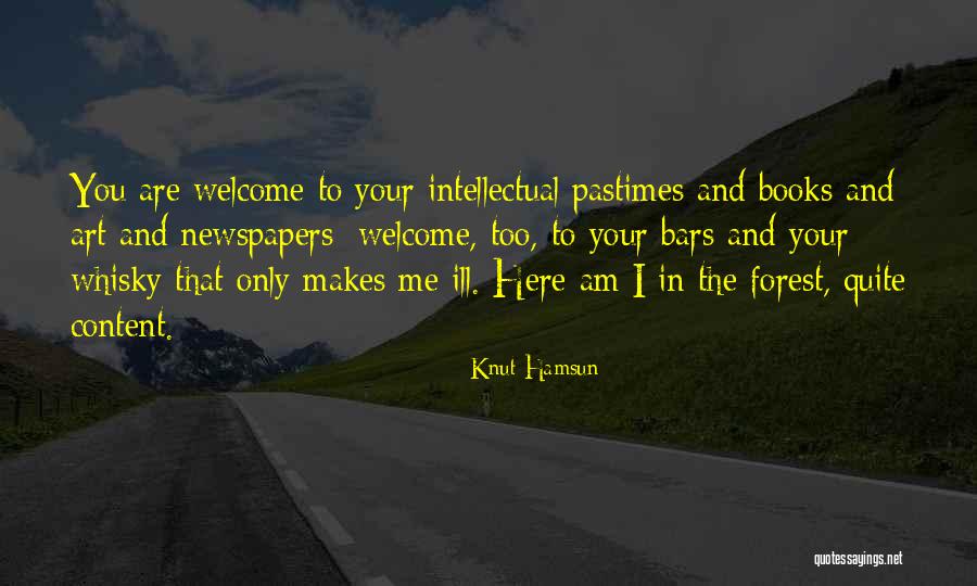 Bars In Quotes By Knut Hamsun Bars In Quotes By Knut Hamsun