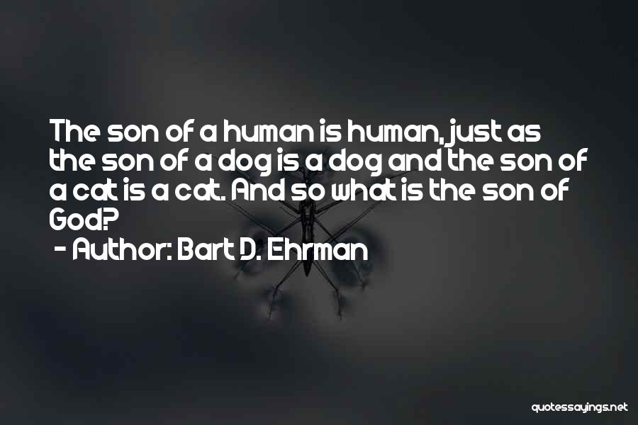 Bart D. Ehrman Quotes 1330029