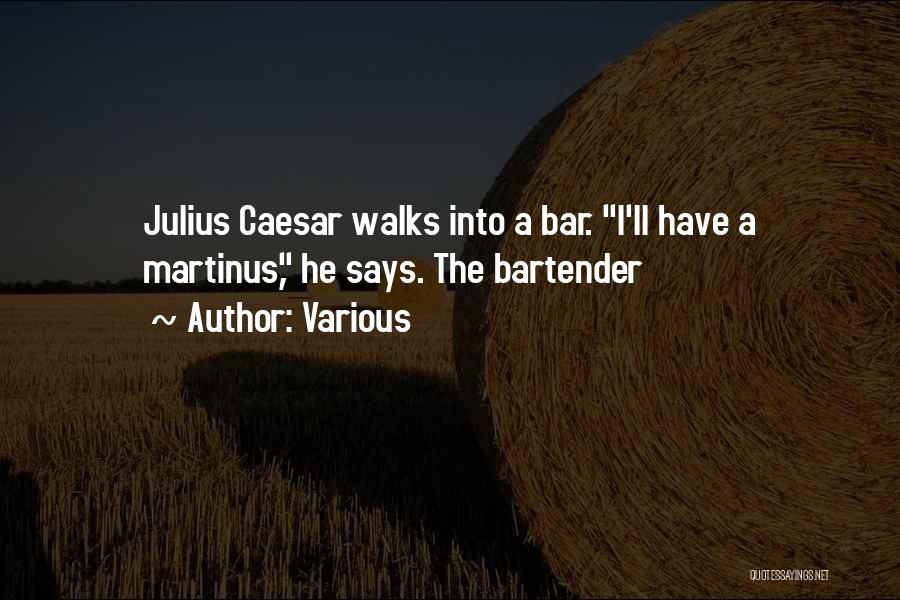 Bartender Quotes By Various