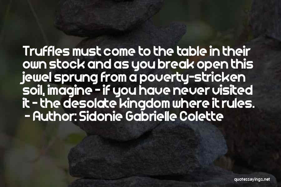 Barth Gimble Quotes By Sidonie Gabrielle Colette