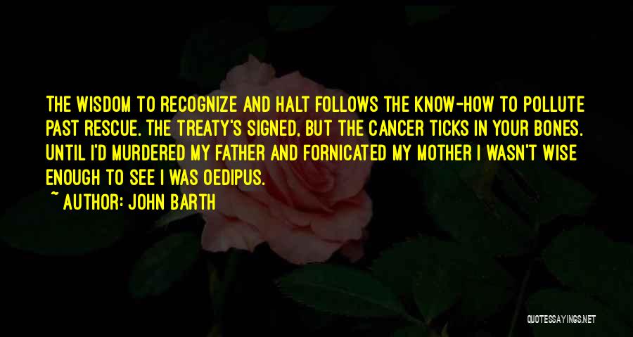 Barth Quotes By John Barth