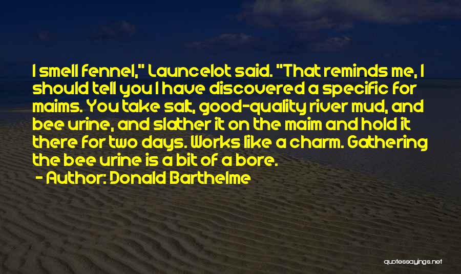 Barthelme Quotes By Donald Barthelme