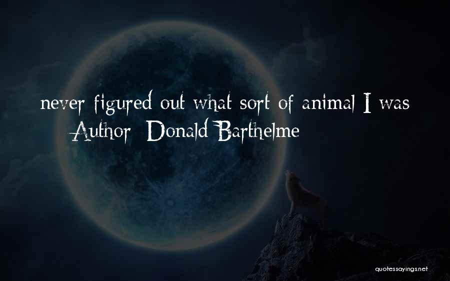 Barthelme Quotes By Donald Barthelme