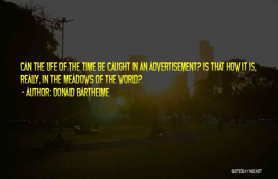 Barthelme Quotes By Donald Barthelme