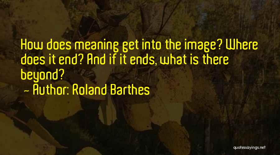 Barthes Quotes By Roland Barthes