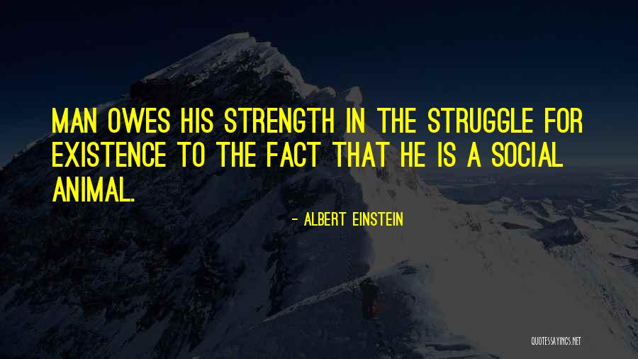 Bartholomay Rochester Quotes By Albert Einstein Bartholomay Rochester Quotes By Albert Einstein
