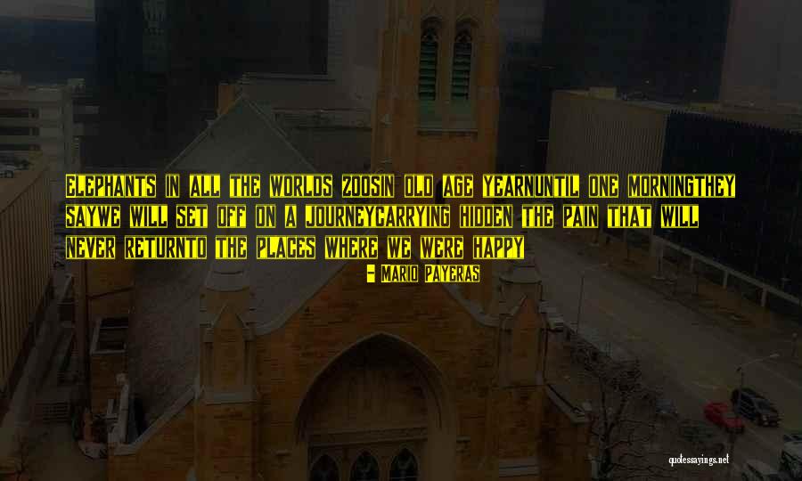 Bartocci New York Quotes By Mario Payeras Bartocci New York Quotes By Mario Payeras