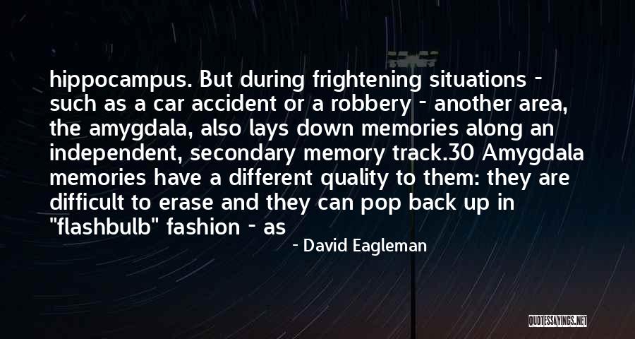 Bartsch Gardens Quotes By David Eagleman Bartsch Gardens Quotes By David Eagleman
