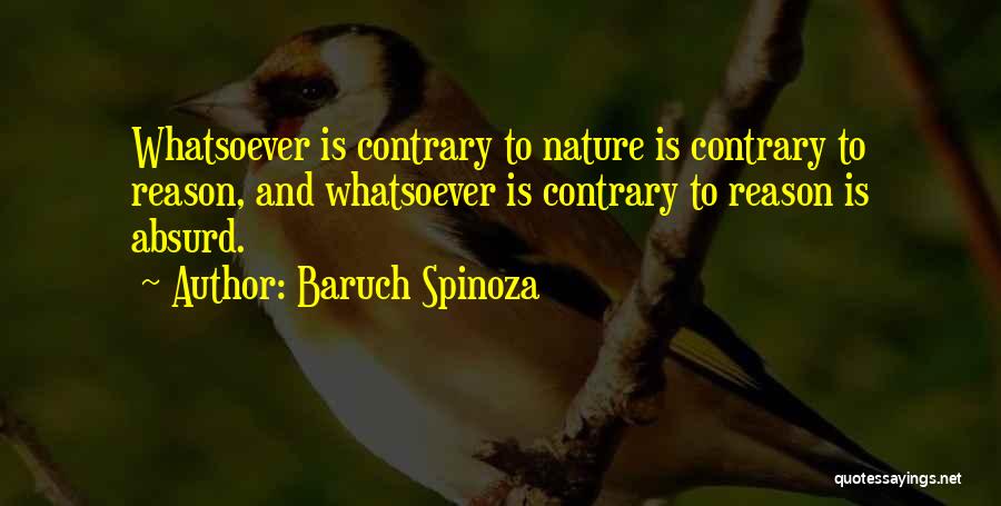 Baruch Quotes By Baruch Spinoza