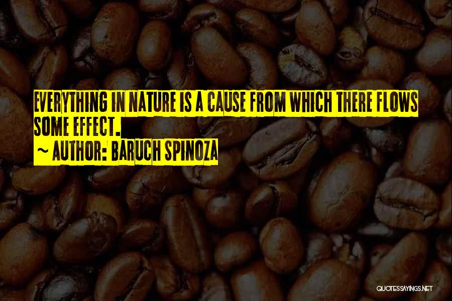 Baruch Quotes By Baruch Spinoza