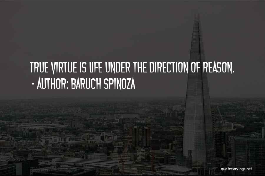 Baruch Spinoza Quotes 1269052