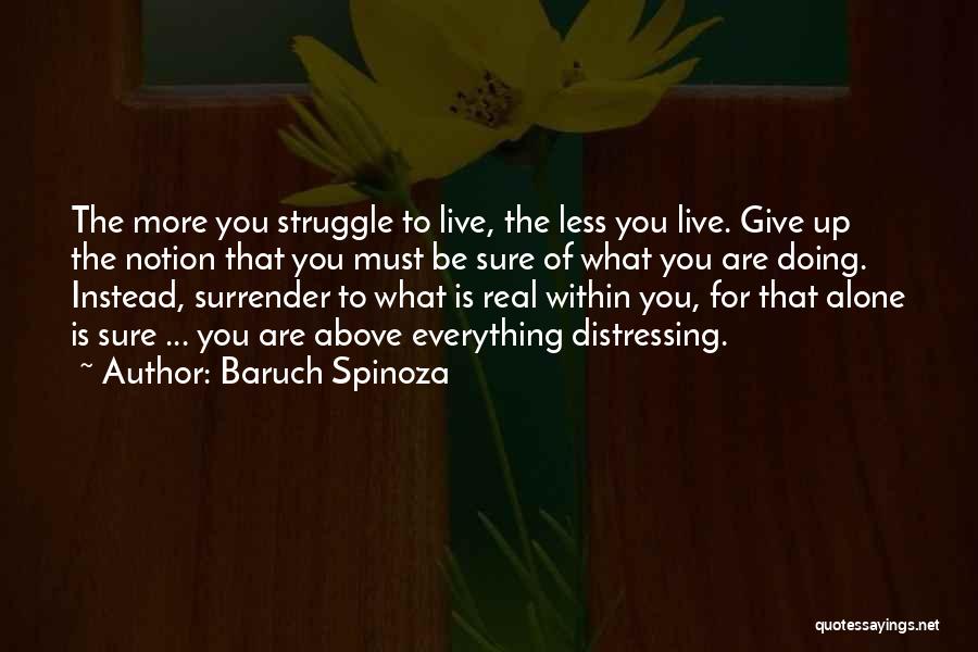 Baruch Spinoza Quotes 1368550