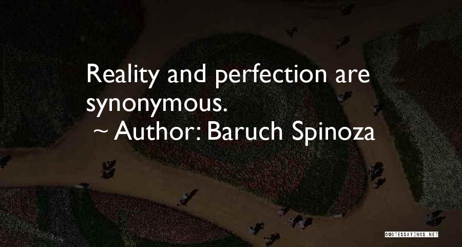 Baruch Spinoza Quotes 1668750