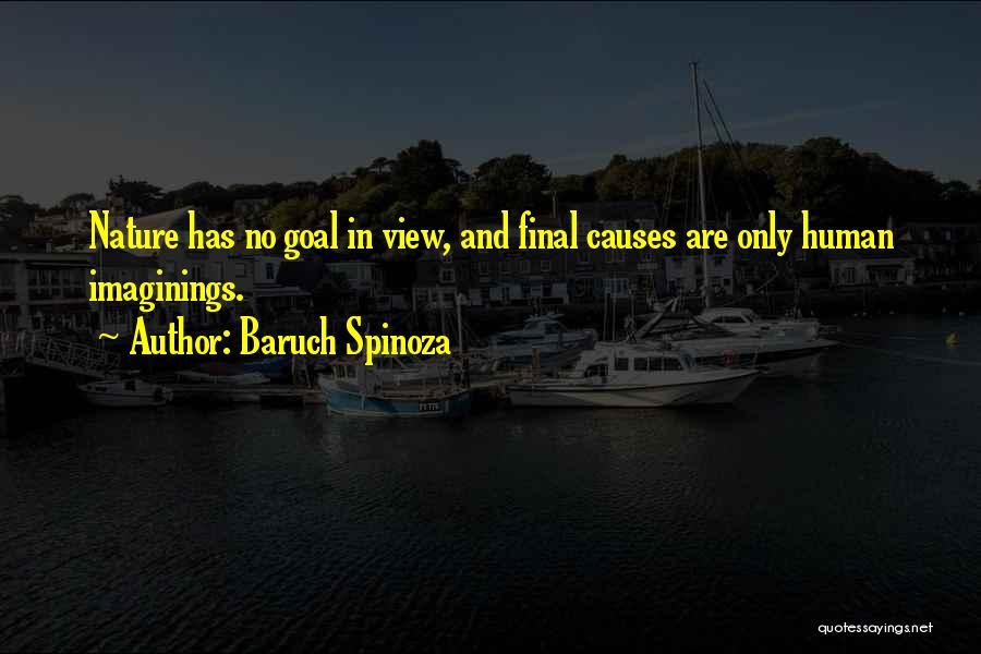 Baruch Spinoza Quotes 1732723