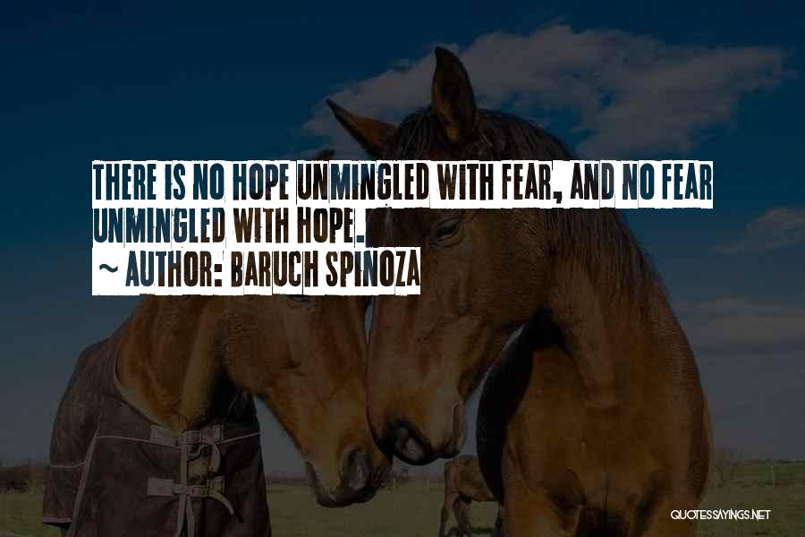 Baruch Spinoza Quotes 177588