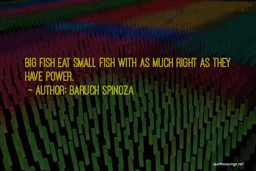 Baruch Spinoza Quotes 1942733