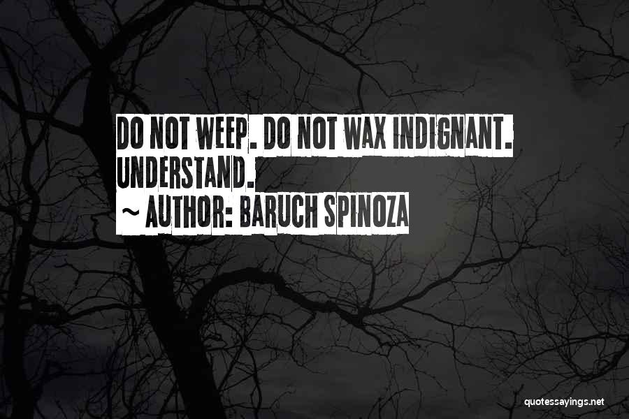 Baruch Spinoza Quotes 2040406