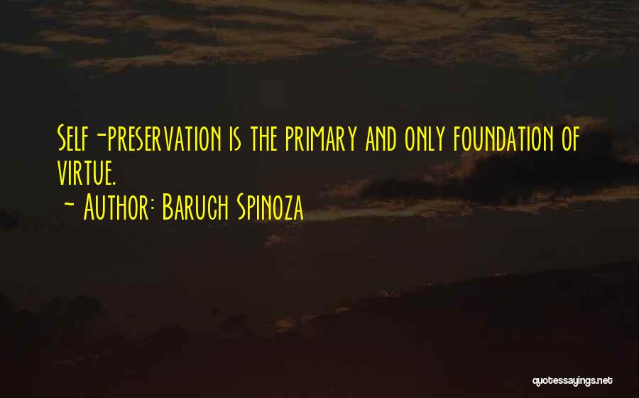 Baruch Spinoza Quotes 344047