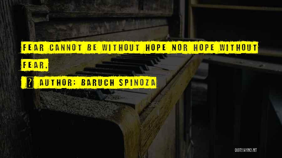 Baruch Spinoza Quotes 410029