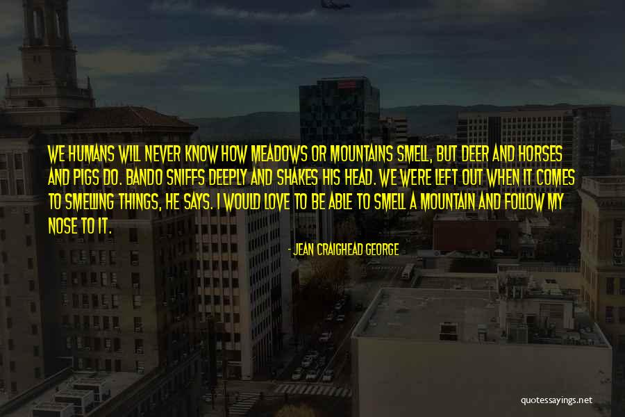 Barulho Na Quotes By Jean Craighead George Barulho Na Quotes By Jean Craighead George