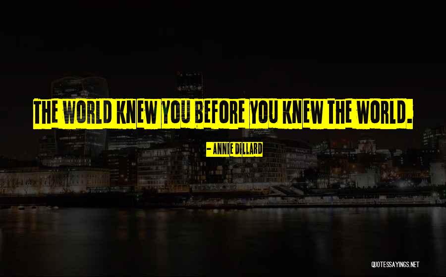 Baruth Map Quotes By Annie Dillard Baruth Map Quotes By Annie Dillard