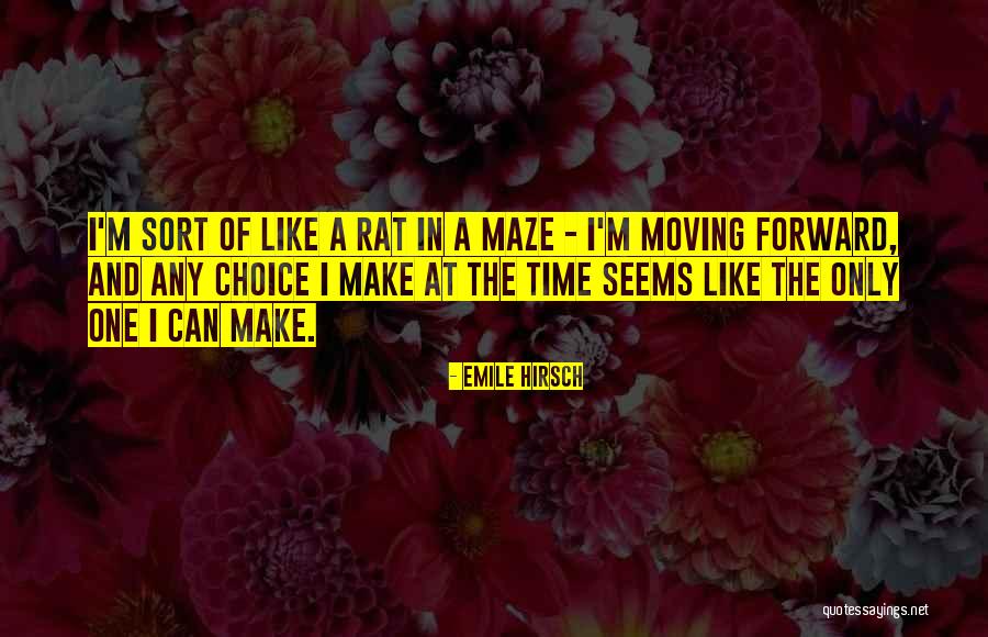Barutha Quotes By Emile Hirsch Barutha Quotes By Emile Hirsch