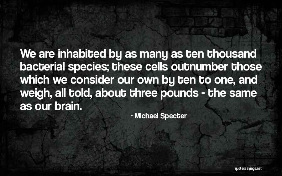 Baryshikov Quotes By Michael Specter Baryshikov Quotes By Michael Specter